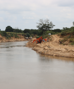 2024 National Water Week Regional Science Schools Competition (Crocodile)